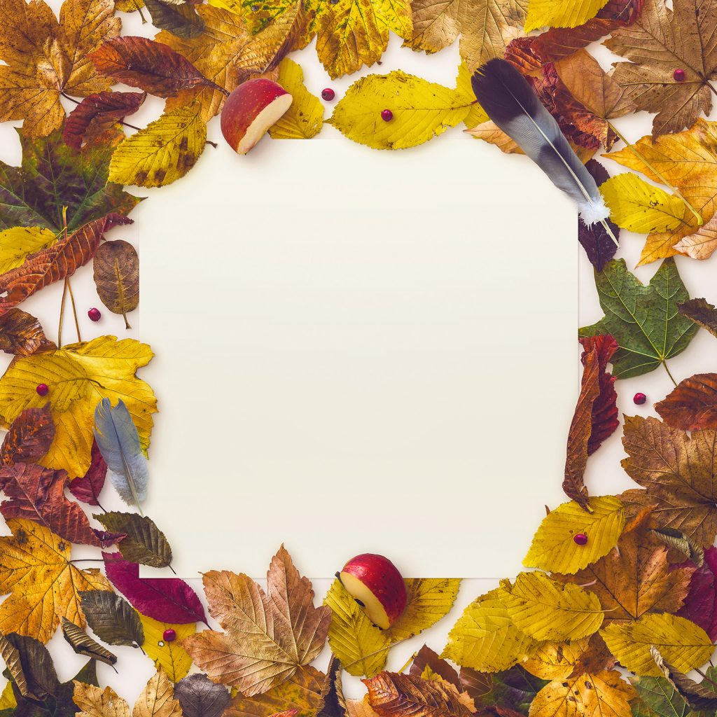 mockup-autumn-scene-8