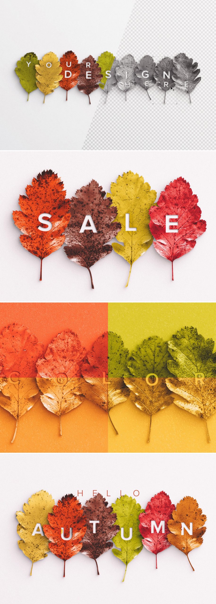 autumn leaves mockup preview1 1 scaled
