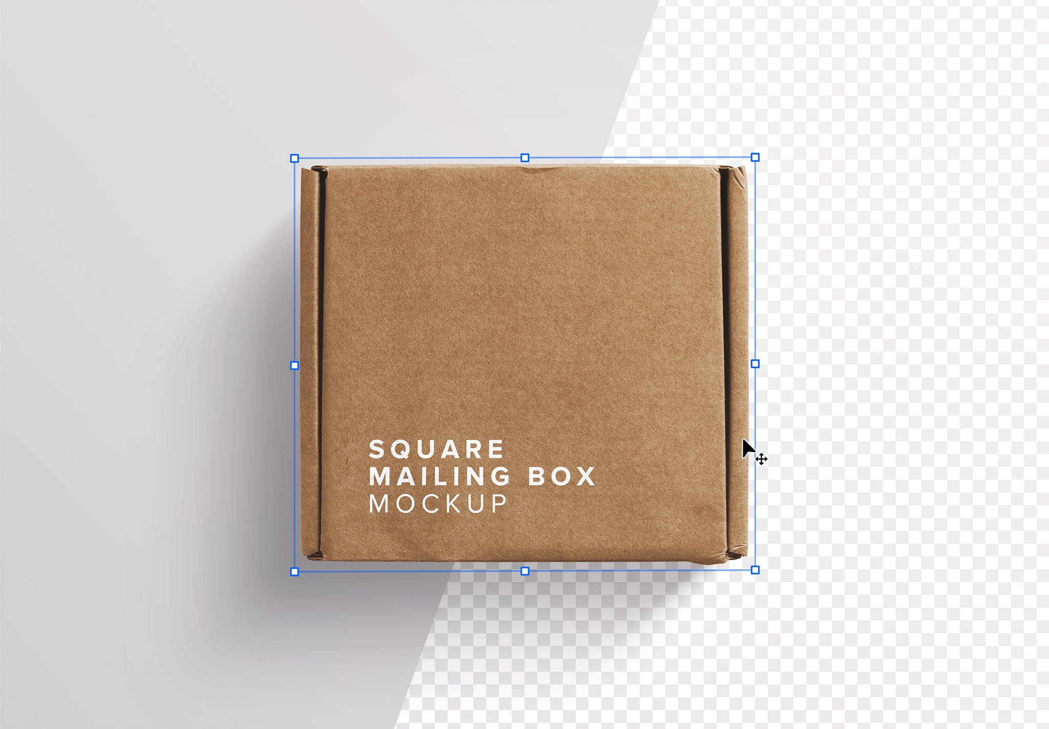 Postal Square Box Mockup Image01
