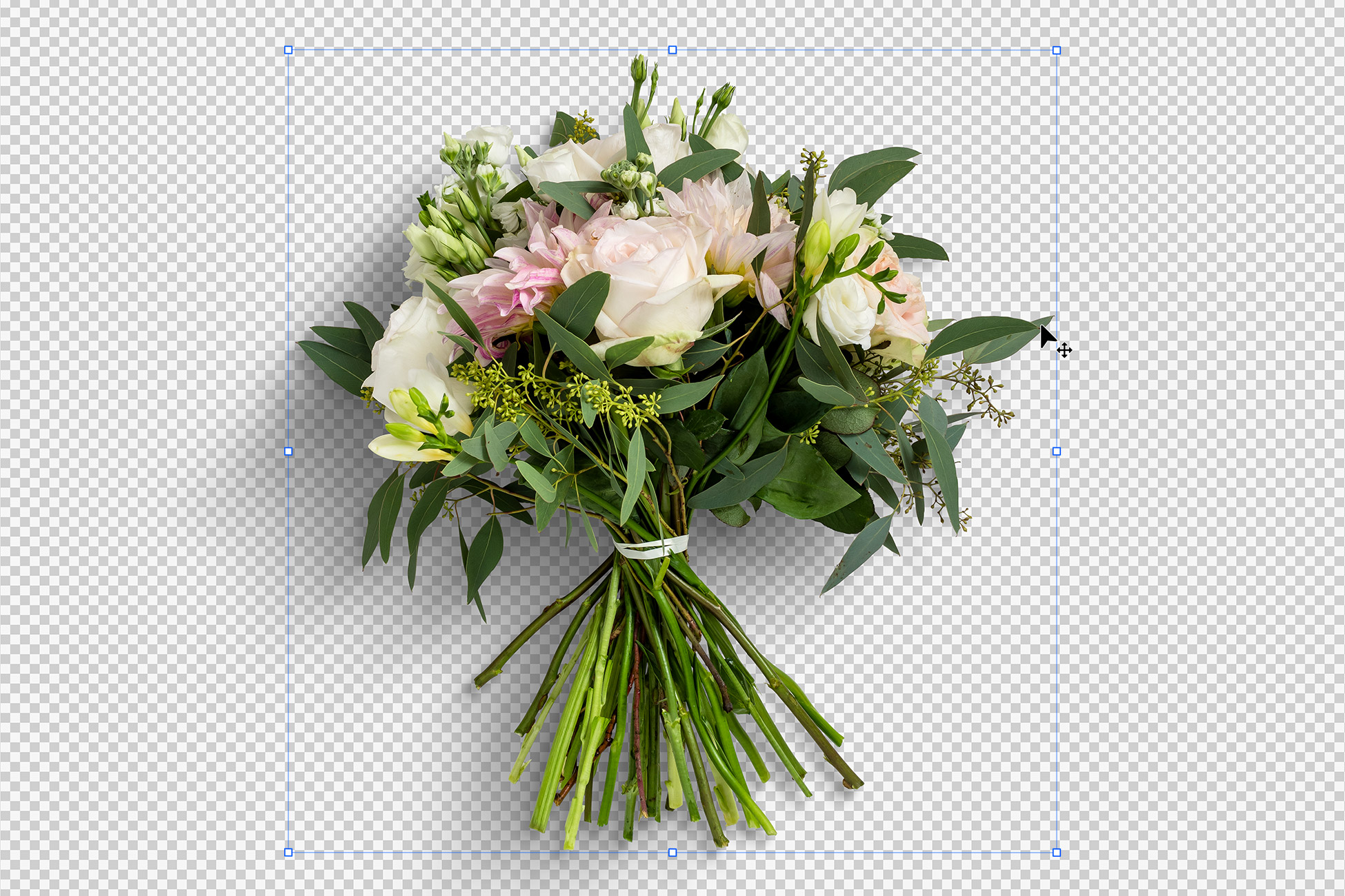 Wedding Bouquet Flowers Isolated Objects
