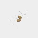 Pencil Sharpenings 7 01 PNG Image Thumbnail.jpg