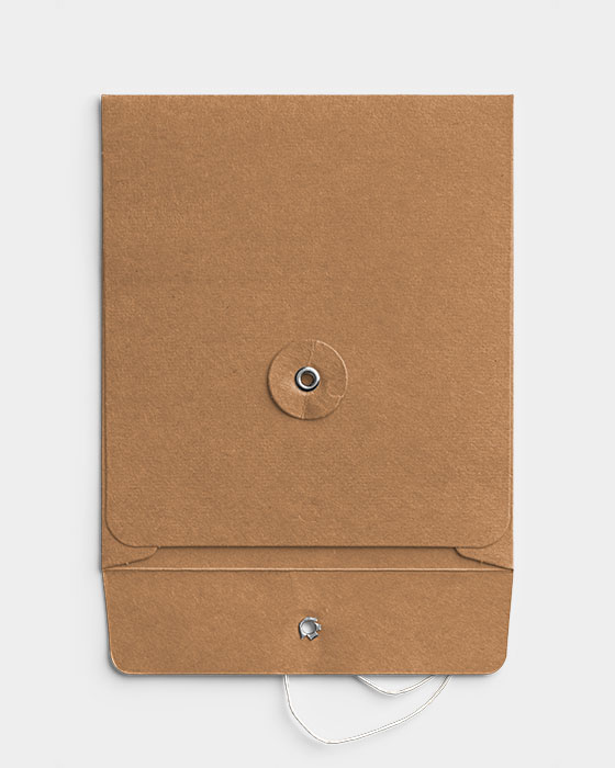 Brown String and Washer Envelope Opened 2 01 PNG Image Thumbnail.jpg