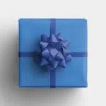 Blue Gift Box with Blue Ribbon and Bow 01 PNG Image Thumbnail.jpg