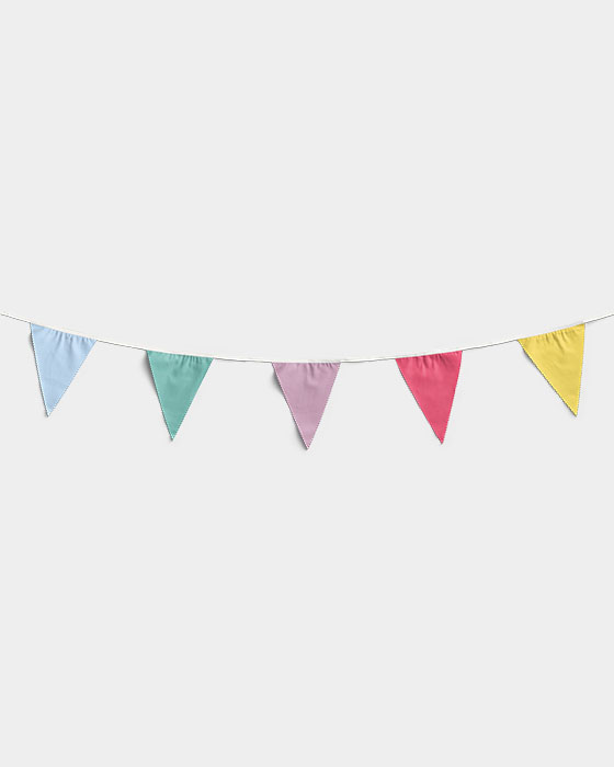 Multicolor Triangle Flags Party Decoration 01 PNG Image Thumbnail.jpg