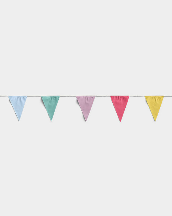 Multicolor Triangle Straight Flags Party Decoration 01 PNG Image Thumbnail.jpg