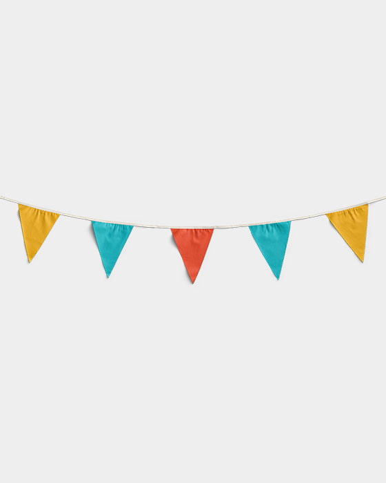 Multicolor Triangular Bunting Party Decoration 01 PNG Image Thumbnail.jpg