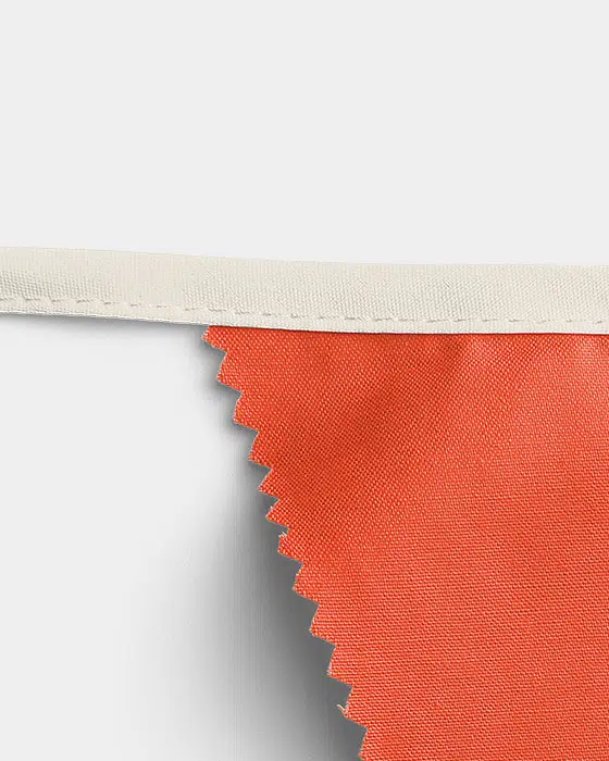Multicolor Triangular Bunting Party Decoration 02 PNG Image High Resolution.jpg