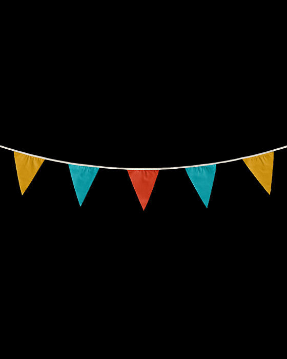 Multicolor Triangular Bunting Party Decoration 04 PNG Image Isolated Object.jpg