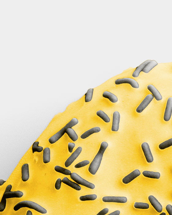 Pair of Donuts with Black and Yellow Glaze with Sprinkles 02 PNG Image High Resolution.jpg