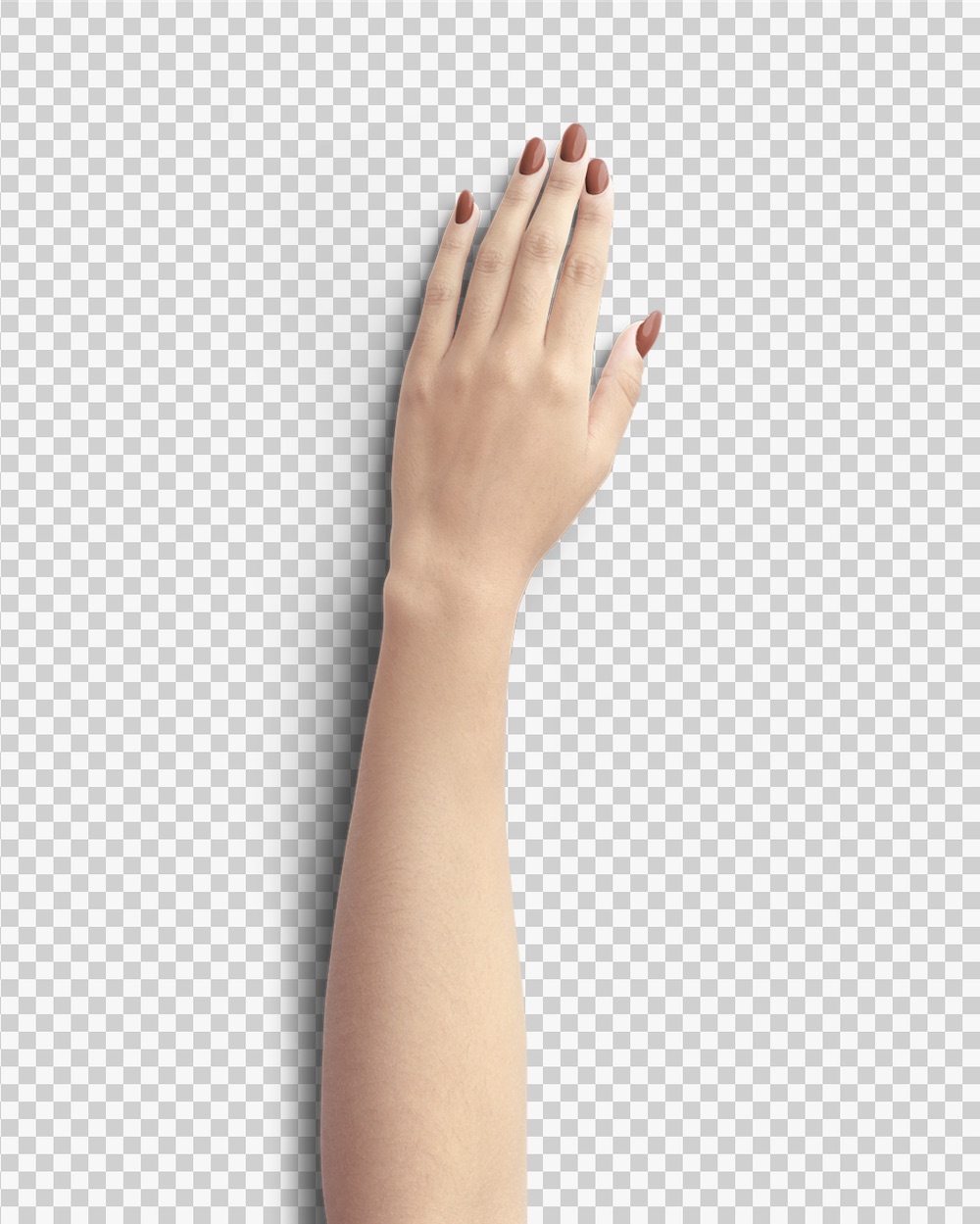White Resting Left Hand Stationers Neutrals 03 PNG Image Transparent Background.jpg