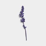 Amethyst Dried Flower Stem 01 PNG Image Thumbnail.jpg