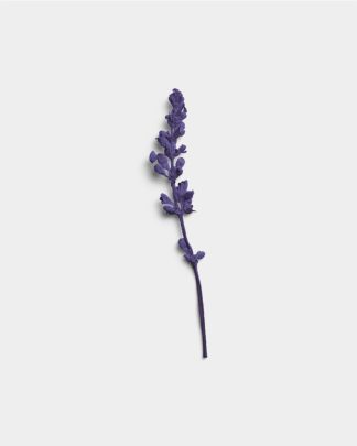 Amethyst Dried Flower Stem 01 PNG Image Thumbnail.jpg