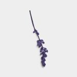 Amethyst Pressed Flower Stem 01 PNG Image Thumbnail.jpg
