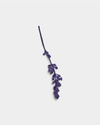 Amethyst Pressed Flower Stem 01 PNG Image Thumbnail.jpg