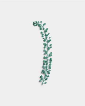 Azure Basil Seeds 01 PNG Image Thumbnail.jpg