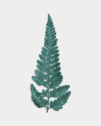 Azure Dried Fern Leaf 01 PNG Image Thumbnail.jpg