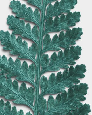 Azure Dried Fern Leaf 02 PNG Image High Resolution.jpg