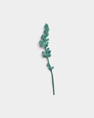 Azure Dried Flower Stem 01 PNG Image Thumbnail.jpg