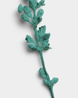 Azure Dried Flower Stem 02 PNG Image High Resolution.jpg