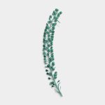 Azure Pressed Basil Seeds 01 PNG Image Thumbnail.jpg