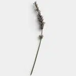 Faded Lavender Stem 01 PNG Image Thumbnail.jpg