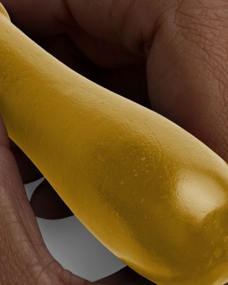 Golden Black Hand Holding Wax Seal Stamp 02 PNG Image High Resolution.jpg