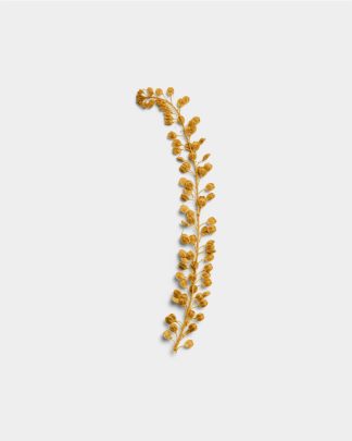 Ochre Basil Seeds 01 PNG Image Thumbnail.jpg