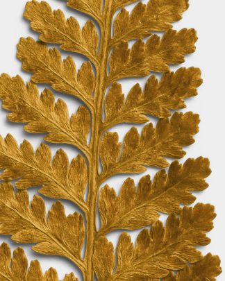 Ochre Dried Fern Leaf 02 PNG Image High Resolution.jpg