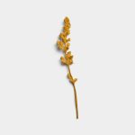 Ochre Dried Flower Stem 01 PNG Image Thumbnail.jpg