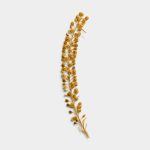 Ochre Pressed Basil Seeds 01 PNG Image Thumbnail.jpg