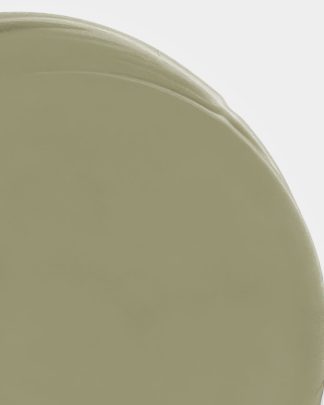Olive Clean Edge Wax Seal 02 PNG Image High Resolution.jpg