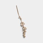 Pressed Flower Stem 01 PNG Image Thumbnail.jpg