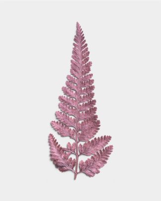 Rose Quartz Dried Fern Leaf 01 PNG Image Thumbnail.jpg