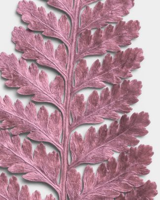 Rose Quartz Dried Fern Leaf 02 PNG Image High Resolution.jpg