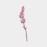 Rose Quartz Dried Flower Stem 01 PNG Image Thumbnail.jpg