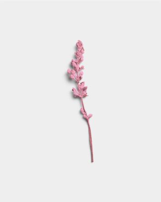 Rose Quartz Dried Flower Stem 01 PNG Image Thumbnail.jpg