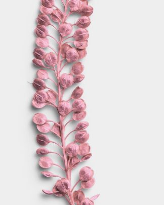 Rose Quartz Pressed Basil Seeds 02 PNG Image High Resolution.jpg