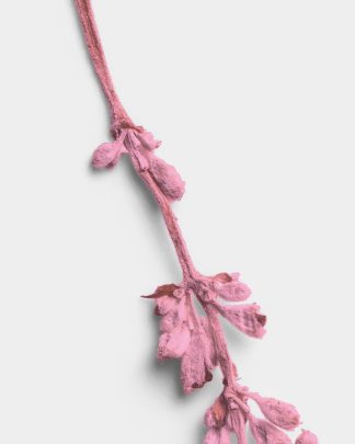 Rose Quartz Pressed Flower Stem 02 PNG Image High Resolution.jpg