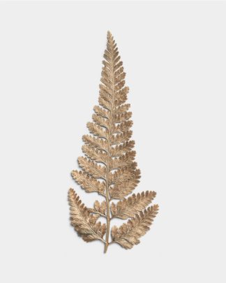 Sandstone Dried Fern Leaf 01 PNG Image Thumbnail.jpg