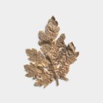 Sandstone Pressed Dried Leaf 01 PNG Image Thumbnail.jpg