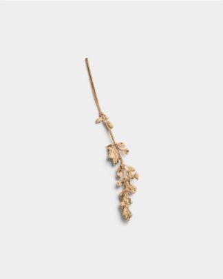 Sandstone Pressed Flower Stem 01 PNG Image Thumbnail.jpg