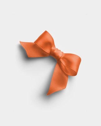 Tangerine Satin Ribbon Bow 01 PNG Image Thumbnail.jpg