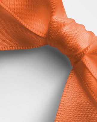 Tangerine Satin Ribbon Bow 02 PNG Image High Resolution.jpg