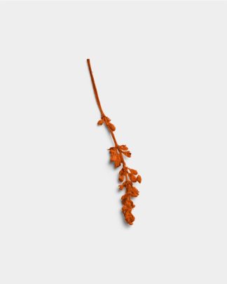 Terracotta Pressed Flower Stem 01 PNG Image Thumbnail.jpg