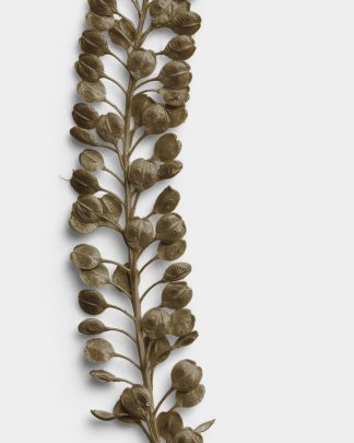 Umber Pressed Basil Seeds 02 PNG Image High Resolution.jpg